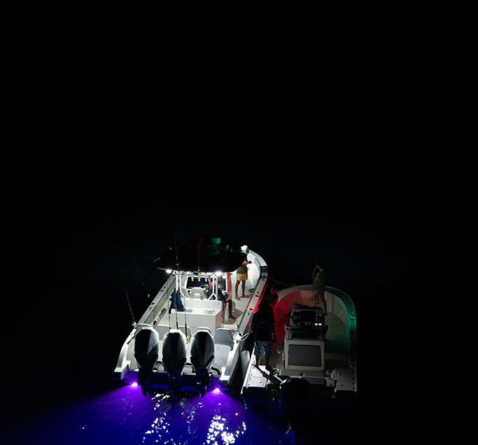 Swordfish After Dark